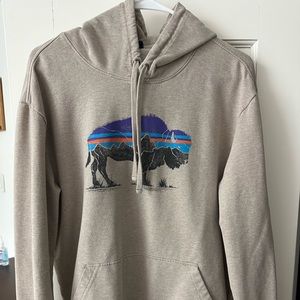 Patagonia hoodie